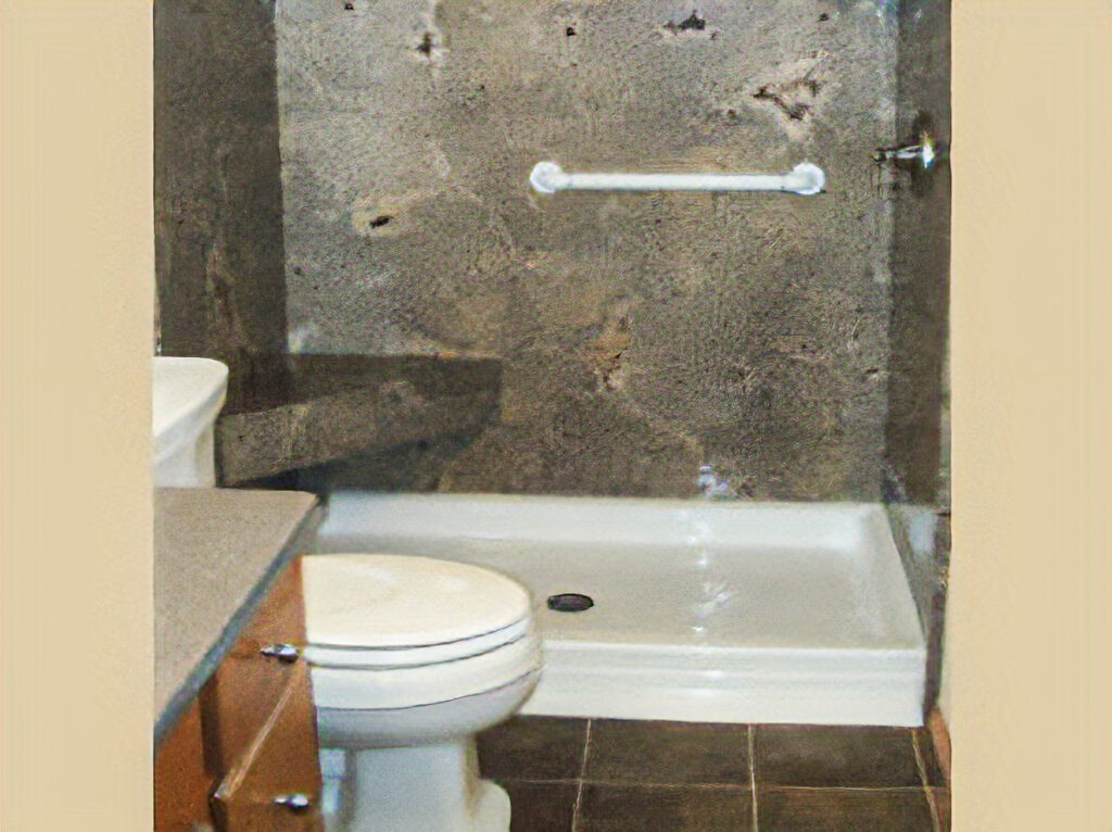 Shower with Grab Bar Next to Toilet